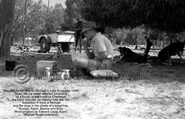 Lunchtime in the paddocks