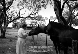 Mavis feeding the horses with bread
