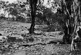 Yeovil, NSW
